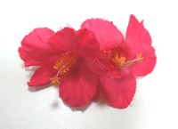 トレードマークの大きなハイビスカスの髪飾りは手作りしたもの