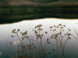 コンクールに落選し、イベントも中止。私の「やる気」がなくなった夏