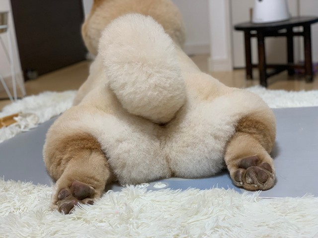 焼きマシュマロ