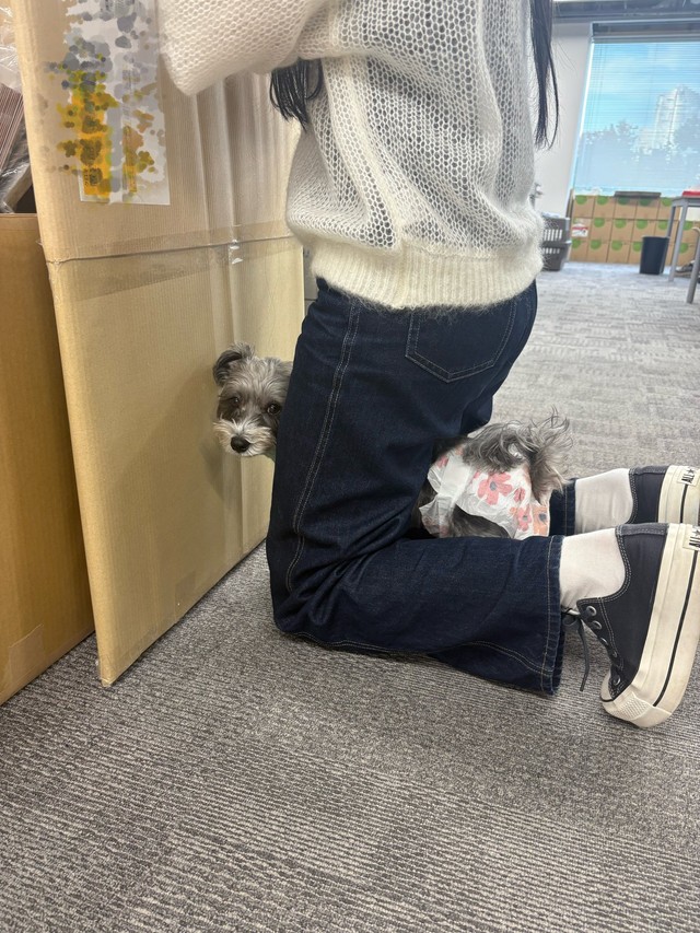 仕事しているつもり