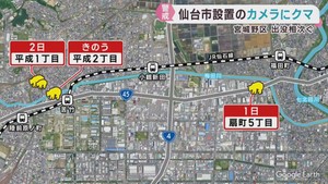 仙台・宮城野区でクマの目撃が相次ぐ　箱わな設置し駆除へ