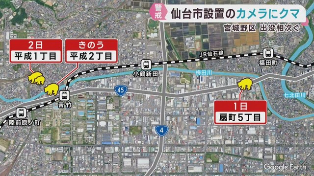 仙台・宮城野区でクマの目撃が相次ぐ　箱わな設置し駆除へ