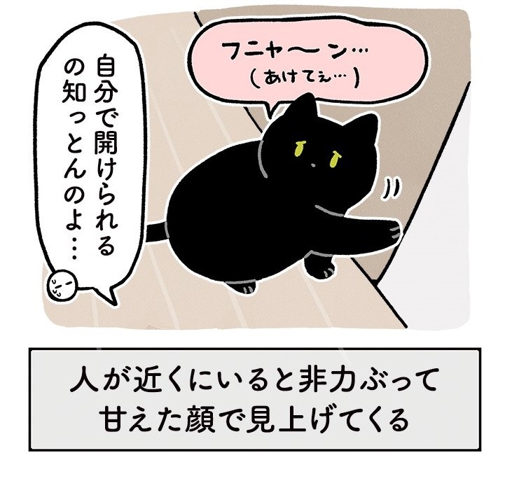 飼い主が近くにいるときだけ非力ぶる猫さん…自己プロデュース能力の