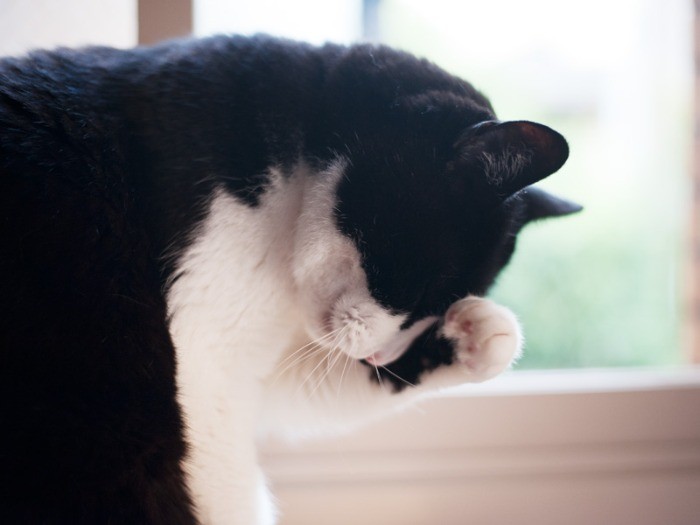 「日焼け止めのクリームなんかいらないんだ」（小林写函撮影）