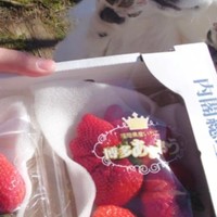 わぁ♡なお手々が可愛すぎる楽くん（提供：くーさんママさん）※画像は一部トリミング