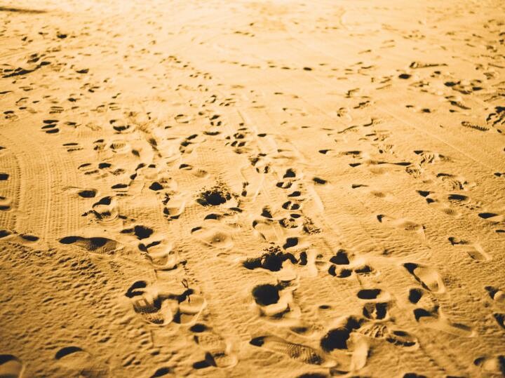 運命の人は顔が似るなんて言うけれど 似た顔の私たちは別々の人生を歩んだ かがみよかがみ