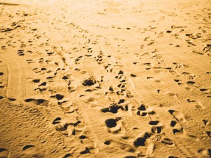 「名は体を表す」と言うが、途中から変わると意味は変わってくるのか