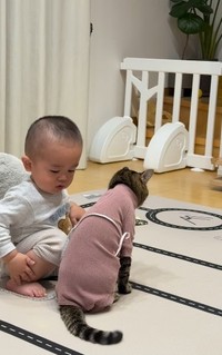 あれ？（「halu4809」さん提供、Instagramよりキャプチャ撮影）