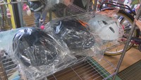 資料　自転車ヘルメットの販売