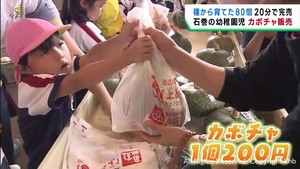 わずか２０分で完売　園児たちが自ら育てたカボチャを販売　宮城・石巻市