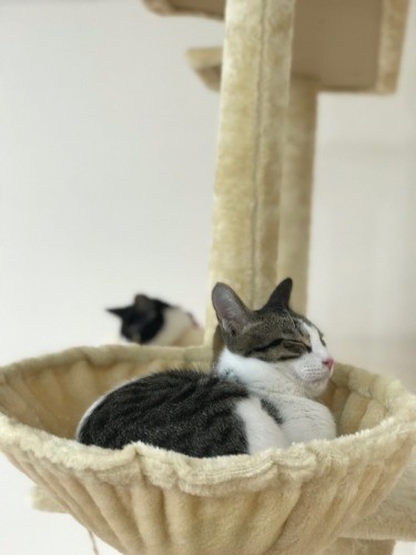 ひなたはみんなのお兄さん的存在
