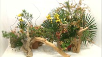 全国の生け花作家の作品が一堂に！香川・高松市で展覧会