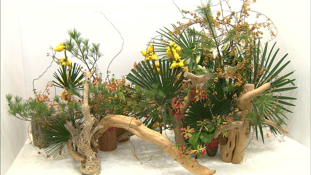 全国の生け花作家の作品が一堂に！香川・高松市で展覧会