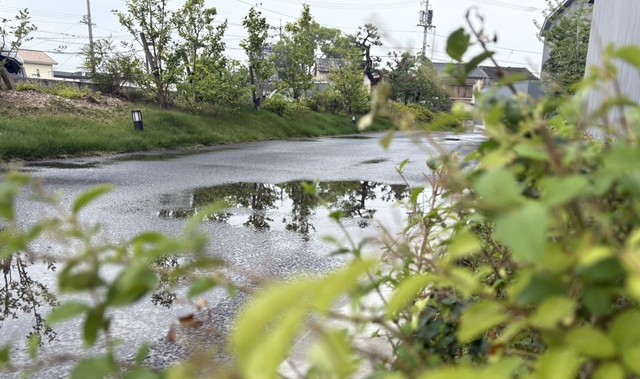 高松市内の様子(8日午前10時ごろ)