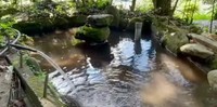 澄んだ水が注ぎ続ける池。大きさは縦3m・横2mほど（写真提供：YouTubeチャンネル「小さな村で暮らす」さん）