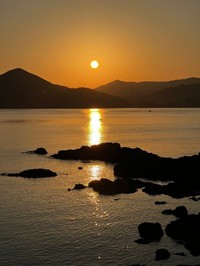 現地から届いた報告の写真