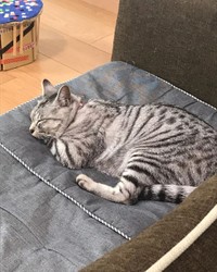 あ～、極楽、極楽