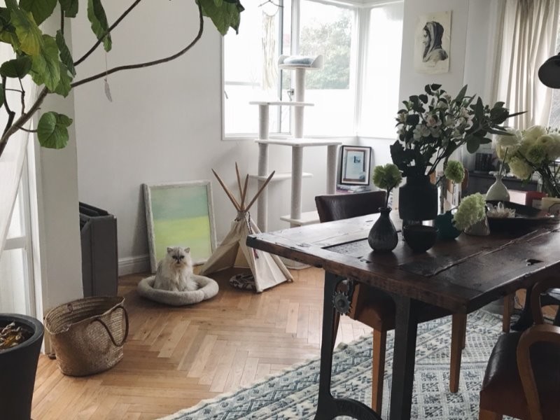 光が射しこむ広いリビングにいるなこちゃん