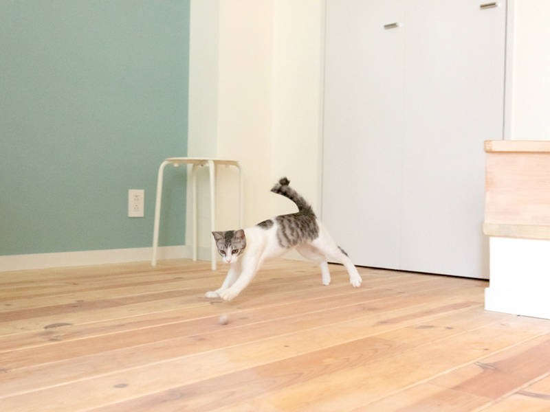 鬼の居ぬ間に洗濯だ