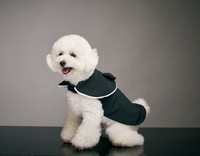 愛犬専用の喪服（提供：坂出葬儀社）