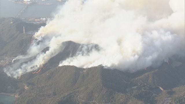 岡山・南区　2025年3月