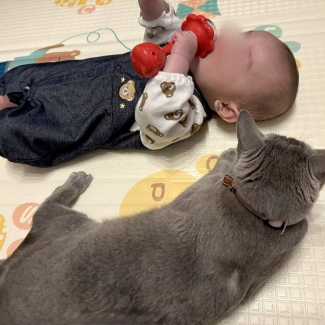 仲良く一緒にくつろいでいる様子（提供：なつ🧸5m🐍☺︎さん）