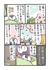 【漫画】『花粉症との戦いの歴史～そして治療まで～』7(C)桐谷とうしろう