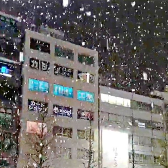 東京では積雪1センチを観測。ぐるりと街を撮影する海翼さん（画像提供：海翼（カイ ヨク）さん）