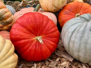 別れさえ言われなかった曖昧な最後。「シンデレラ」にはなれなかった