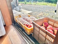 「好きに持って帰っていいよ」縁側には地元福島の特産品“桃” ／さくさん（@saku_to_inu）提供