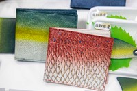 真鯛の美しいグラデーションは染色によるもので、鱗模様を生かすために顔料は使わない