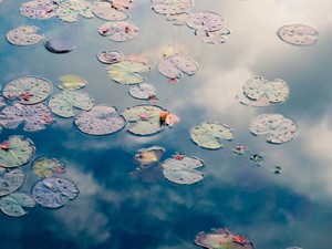 今日も、祖母をかわす。学歴や職業でもなく、本当の私を知って欲しい