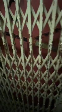 内側から見ると…（ぶたごりらさん提供）