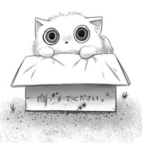 白い毛並みに不思議な動物（高野‐Koya‐さん提供）