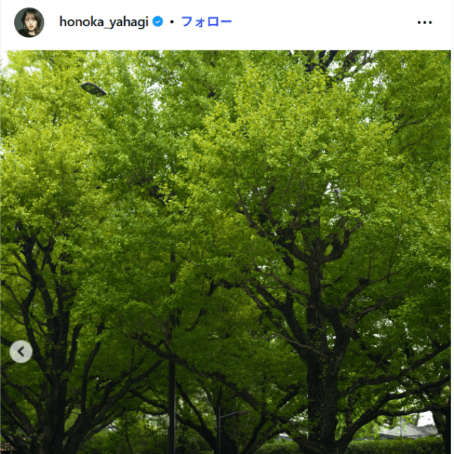 矢作穂香のインスタグラム（＠honoka_yahagi）より