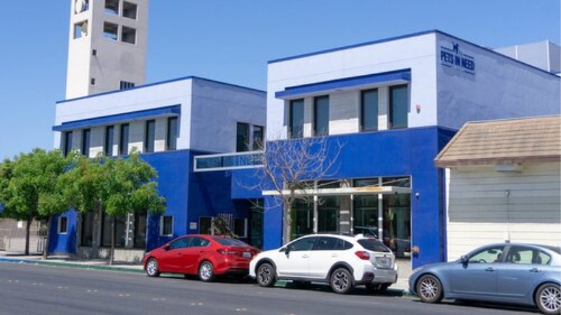 1965年に活動を開始した『PETS IN NEED』