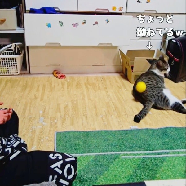 すねてそっぽを向いてしまったたいちょうくん（画像提供：井上 えりさん）
