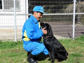 警察犬が足りない！　高齢者の捜索で出動急増、負担も大きく