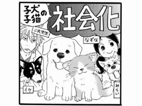 犬猫の「社会化」って何？　おしえて！しっぽ情報局vol.32
