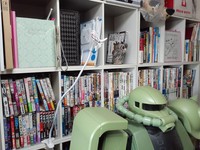 本棚にいるフクロウはぬいぐるみ