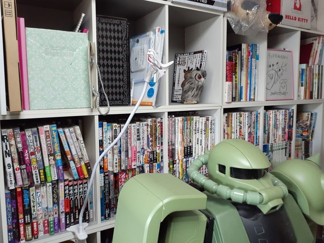 本棚にいるフクロウはぬいぐるみ