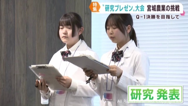 決勝を目指しプレゼン