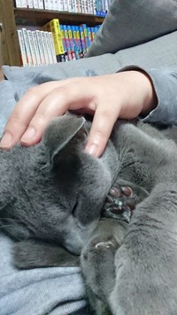 築いてきた絆は永遠になくならない