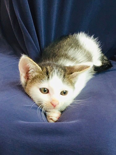 「ぼくって可愛いよね」（さやかさん提供）