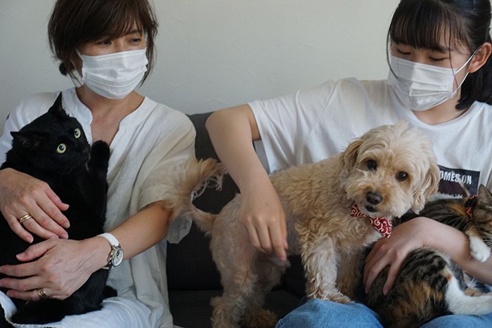 「ちょっと僕を忘れないで」と主張するトイプーのバニラくん