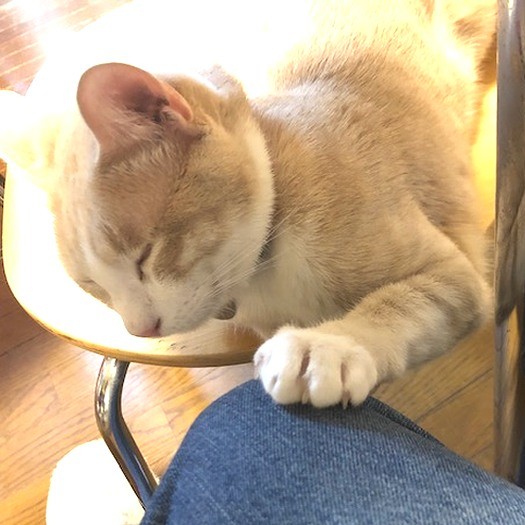 ちょっとでも触れていたいの