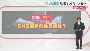 衆議院選挙でも活用されるＳＮＳ　有権者の注意点は？