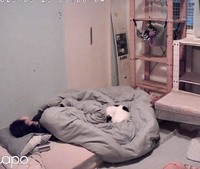 お家猫になって4カ月過ぎて...猫沼さんの家族とお布団で一緒に寝ました（猫沼さん提供）