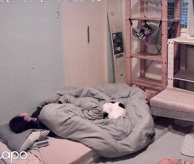 お家猫になって4カ月過ぎて...猫沼さんの家族とお布団で一緒に寝ました（猫沼さん提供）