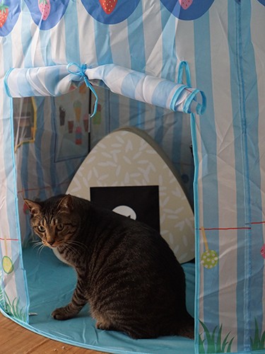 テントにおむすびで、「おうちキャンプ」